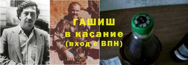 мдпв Елабуга
