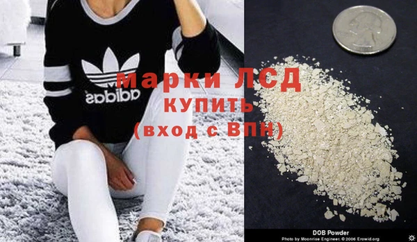 мдпв Елабуга