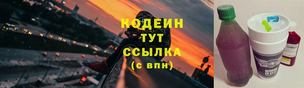 мдпв Елабуга