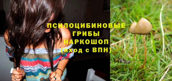 MDMA Ельня