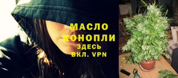 мдпв Елабуга