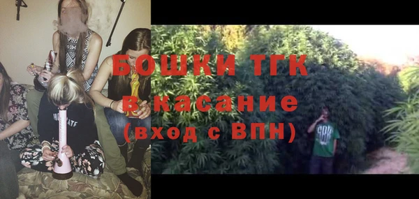 мдпв Елабуга