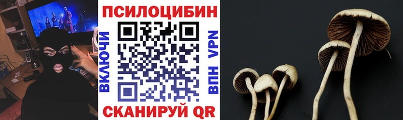 Псилоцибиновые грибы прущие грибы Орёл